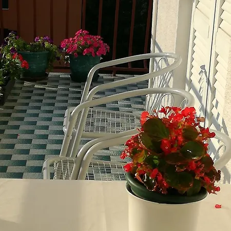 Apartman Culav *